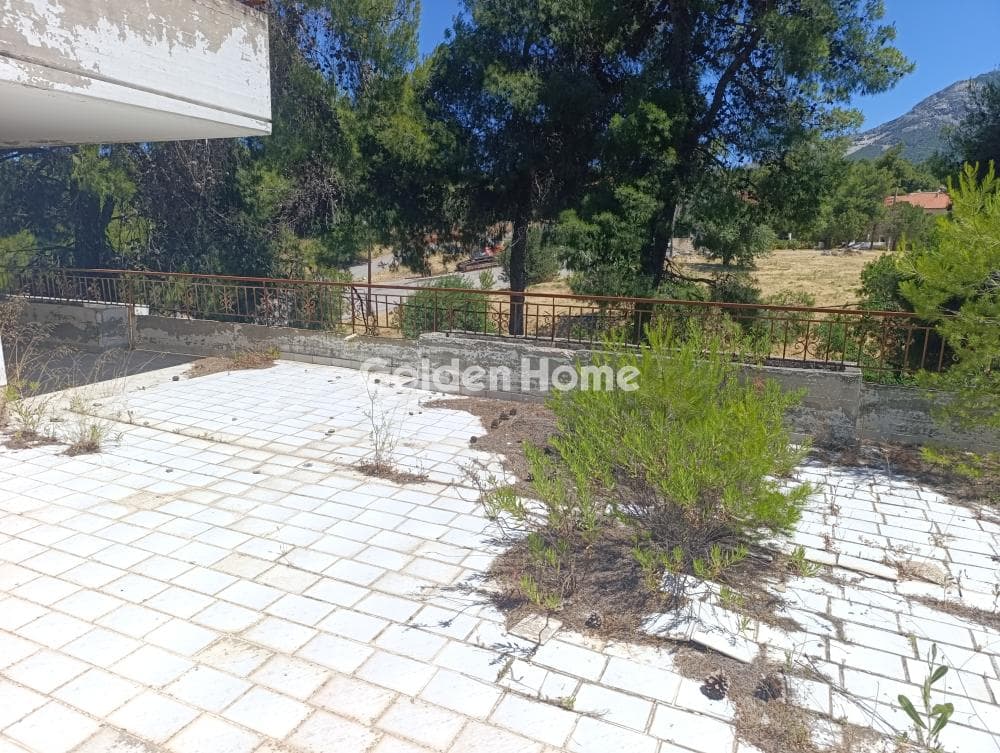 Διαμέρισμα στην Δροσιά, Δροσιά — Φωτογραφία 6 από 20