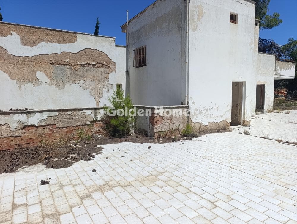 Διαμέρισμα στην Δροσιά, Δροσιά — Φωτογραφία 17 από 20