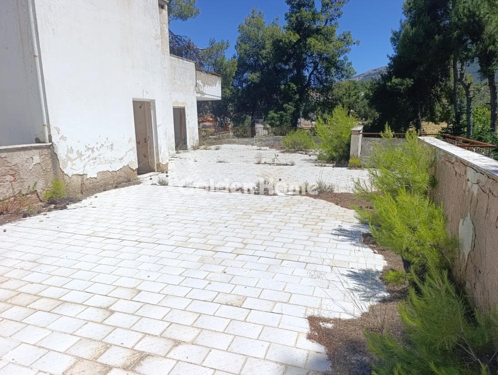 Διαμέρισμα στην Δροσιά, Δροσιά — Φωτογραφία 18 από 20