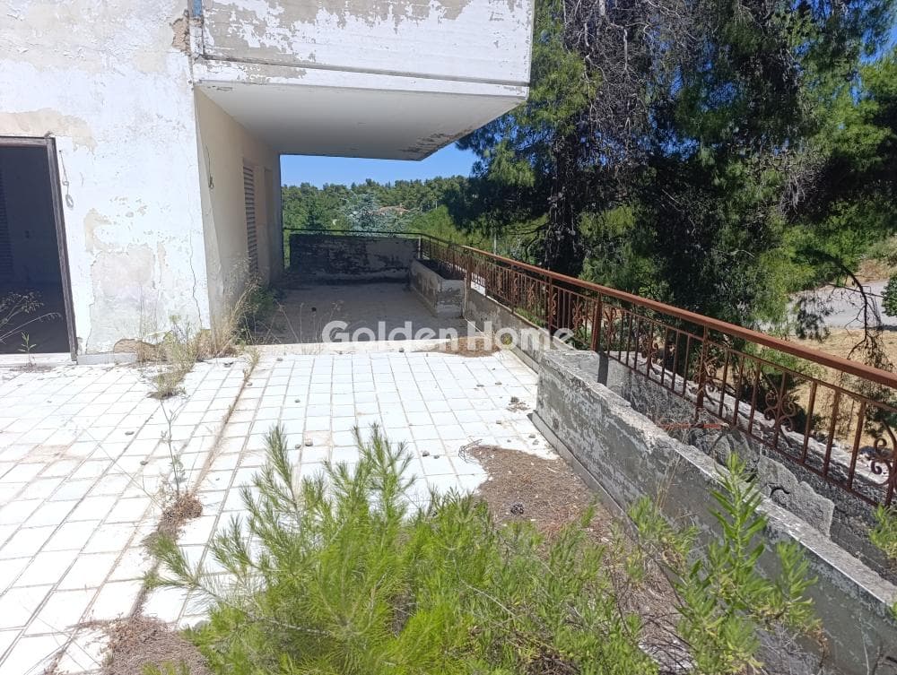 Διαμέρισμα στην Δροσιά, Δροσιά — Φωτογραφία 19 από 20