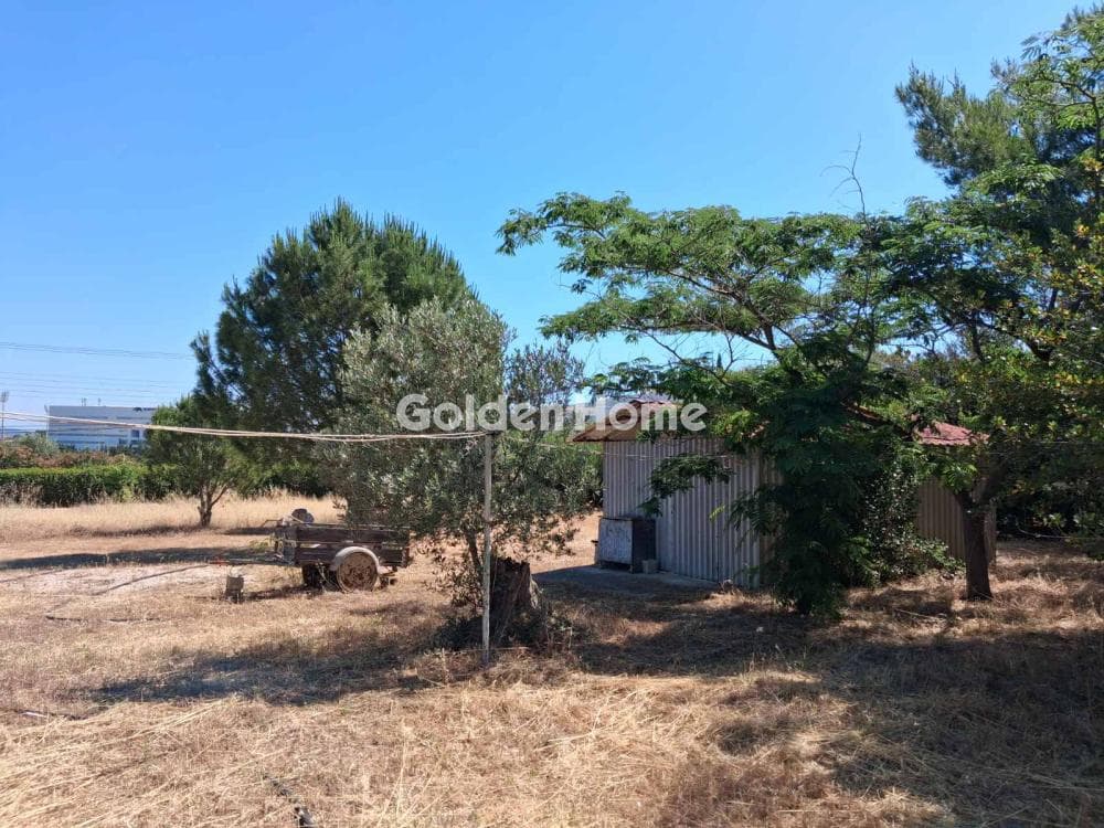 Μονοκατοικία στην Λίμνη Μαρκοπούλου, Μαρκόπουλο — Φωτογραφία 7 από 7
