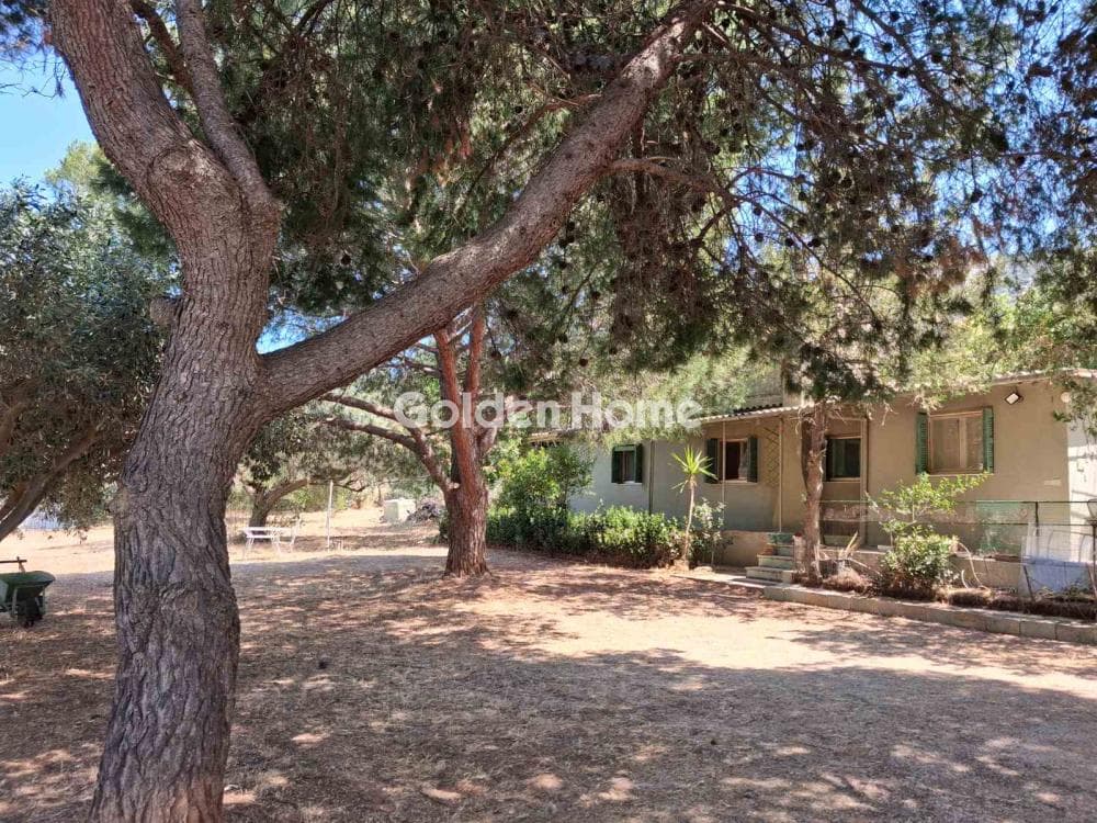 Parcel in Limni Markopoulou, Markopoulo — Photo 5 of 6