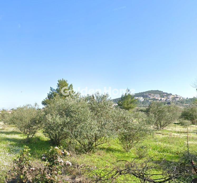 Αγροτεμάχιο στην Νεάπολη, Σπάτα — Φωτογραφία 2 από 3