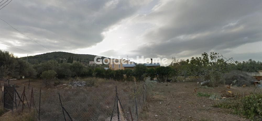 Αγροτεμάχιο στην Νεάπολη, Σπάτα — Φωτογραφία 3 από 3