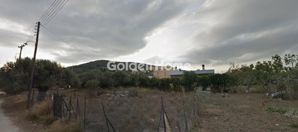 Αγροτεμάχιο στην Νεάπολη, Σπάτα — Φωτογραφία 2 από 3