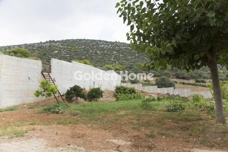 House in Lamprika, Koropi — Photo 2 of 30