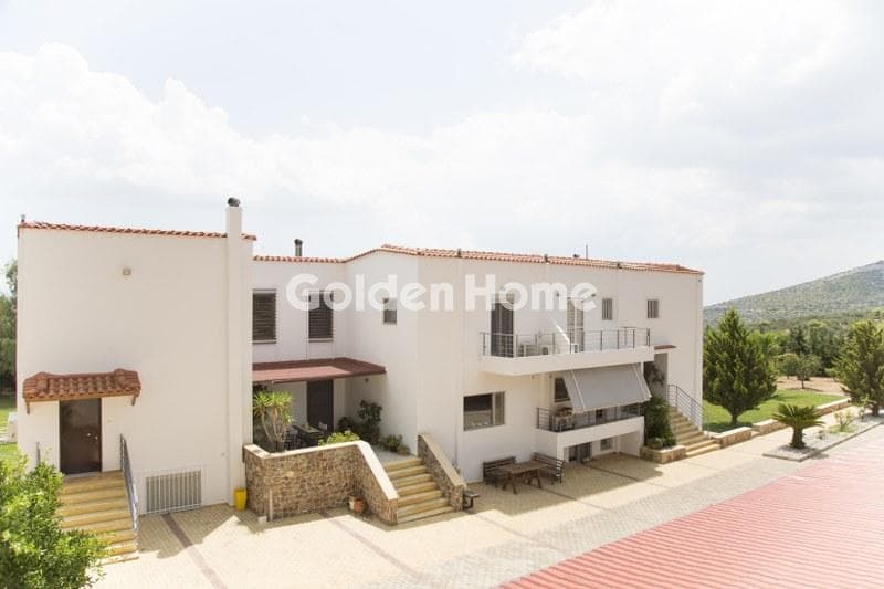 House in Lamprika, Koropi — Photo 1 of 30