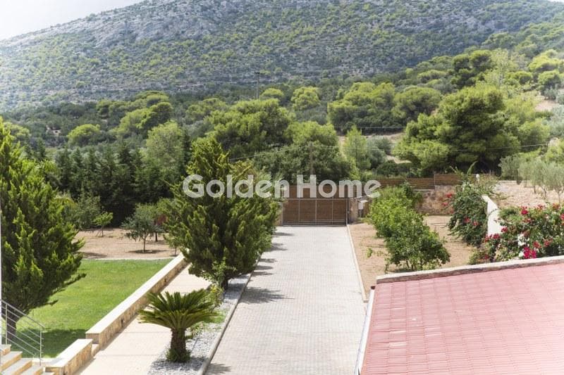 House in Lamprika, Koropi — Photo 3 of 30
