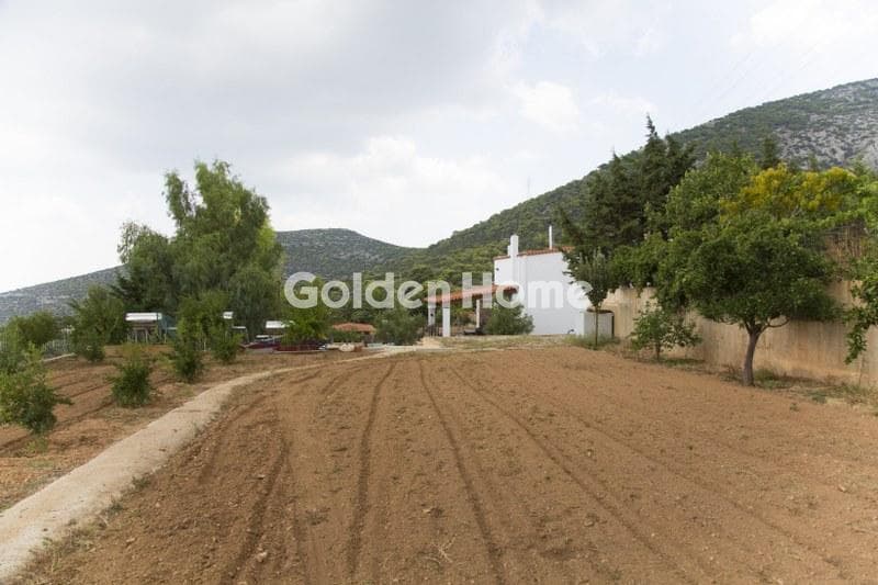 House in Lamprika, Koropi — Photo 11 of 30
