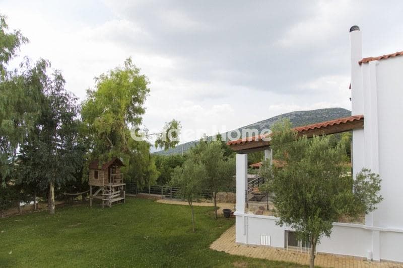 House in Lamprika, Koropi — Photo 8 of 30