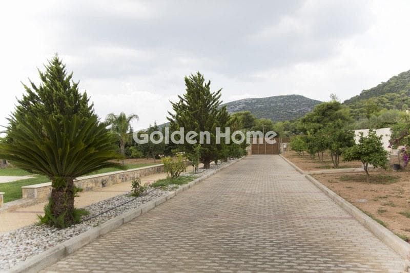 House in Lamprika, Koropi — Photo 6 of 30