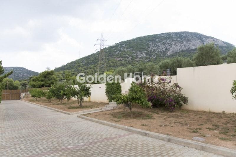 House in Lamprika, Koropi — Photo 17 of 30