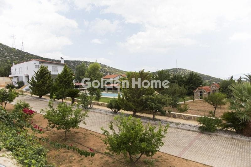 House in Lamprika, Koropi — Photo 19 of 30