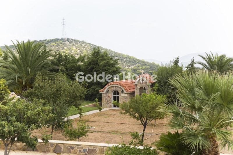 House in Lamprika, Koropi — Photo 18 of 30