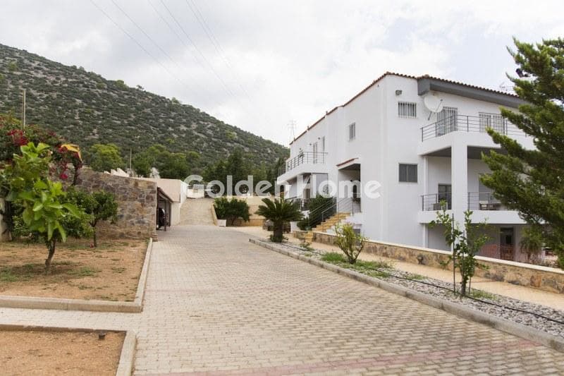 House in Lamprika, Koropi — Photo 29 of 30