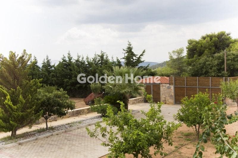 House in Lamprika, Koropi — Photo 26 of 30