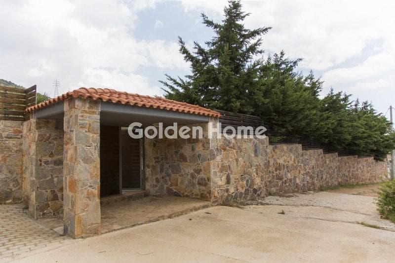 House in Lamprika, Koropi — Photo 30 of 30