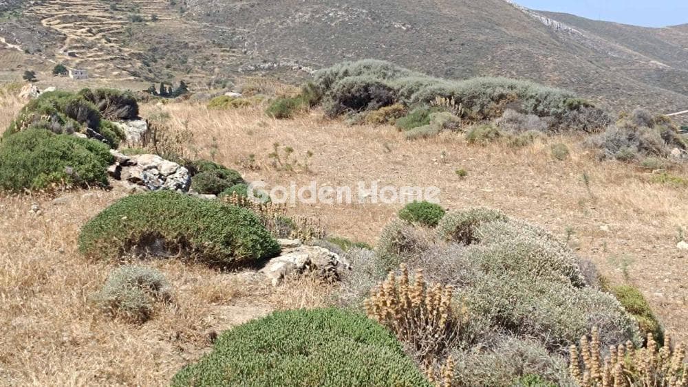 Αγροτεμάχιο στην Βουνιά, Πάρος — Φωτογραφία 6 από 16
