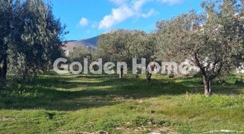 Οικόπεδο στην Άγιος Γεώργιος, Άνω Λιόσια — Φωτογραφία 3 από 3
