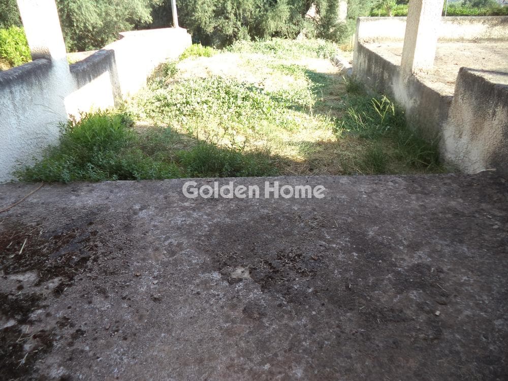 House in Gkoumeika, Akrata — Photo 12 of 13