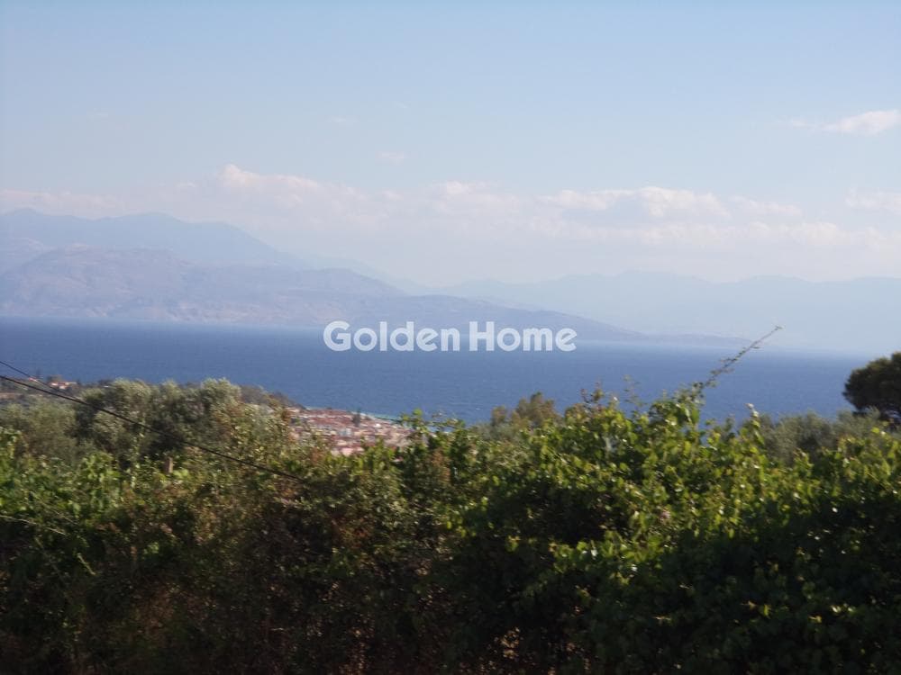 House in Gkoumeika, Akrata — Photo 11 of 13