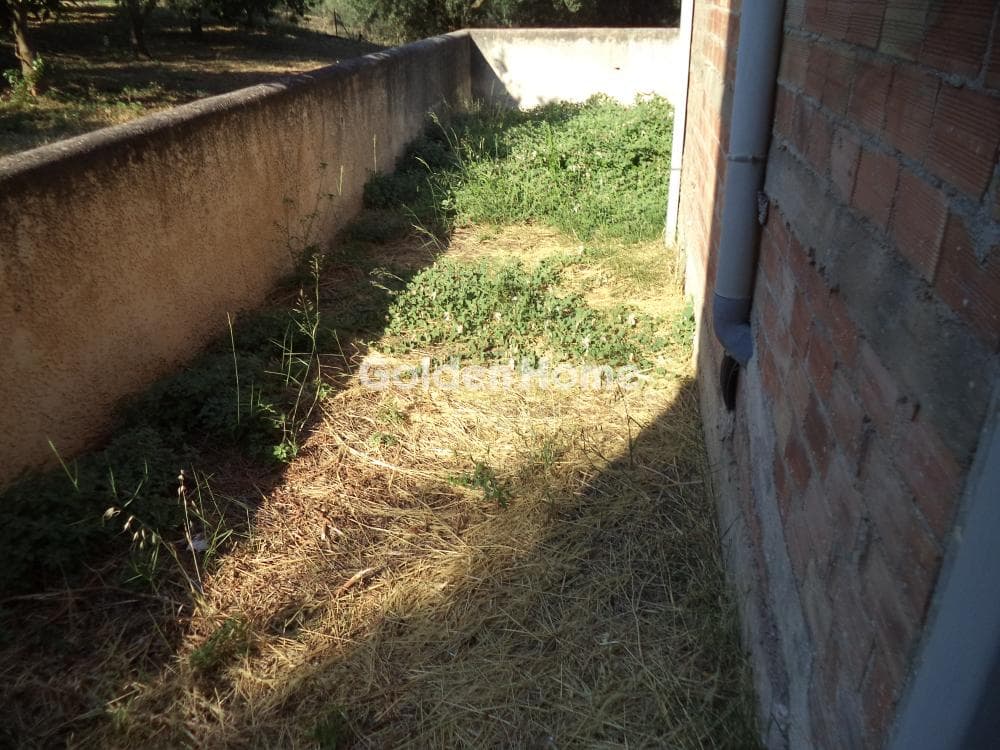 House in Gkoumeika, Akrata — Photo 10 of 14