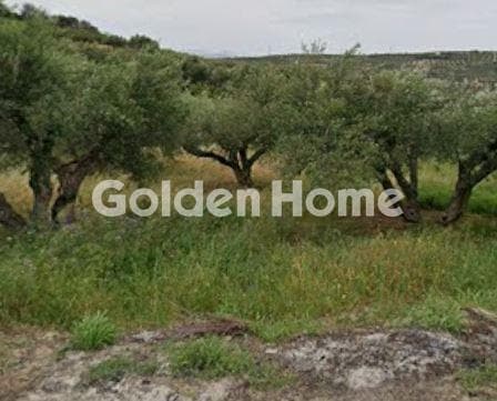 Parcel in Skalani, Episkopi — Photo 1 of 2