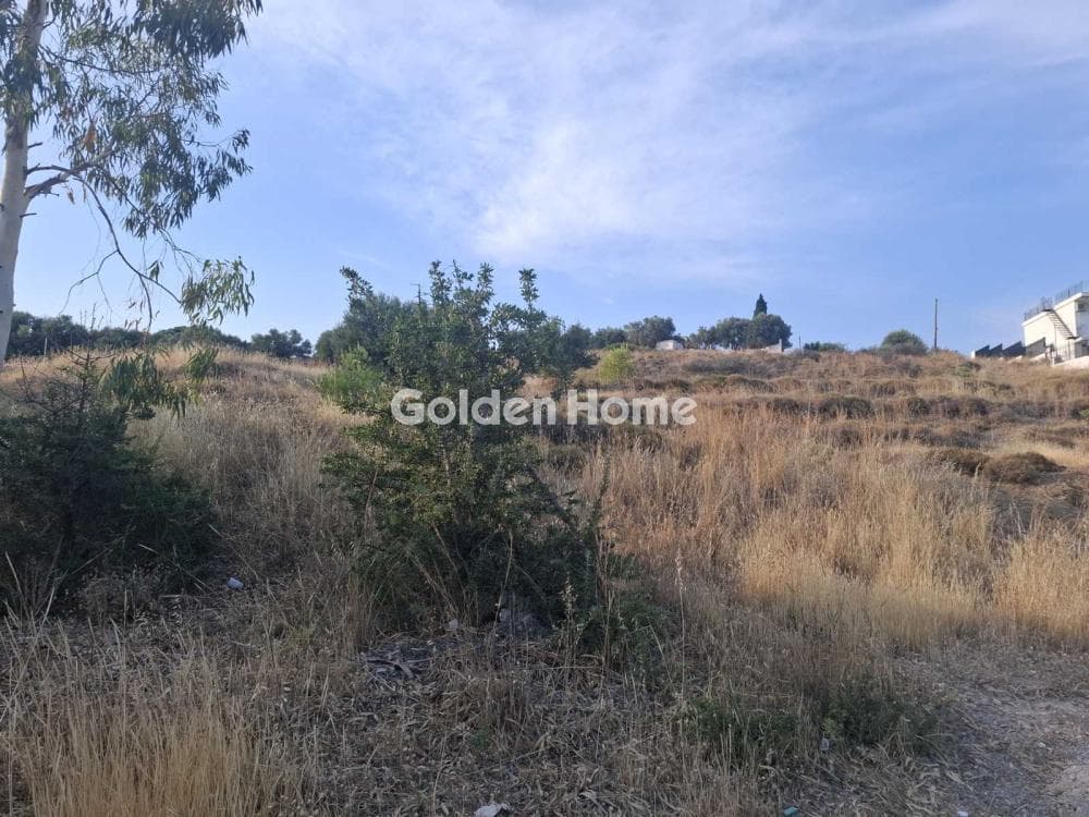 Building Plot in Selinia, Abelakia — Photo 8 of 9