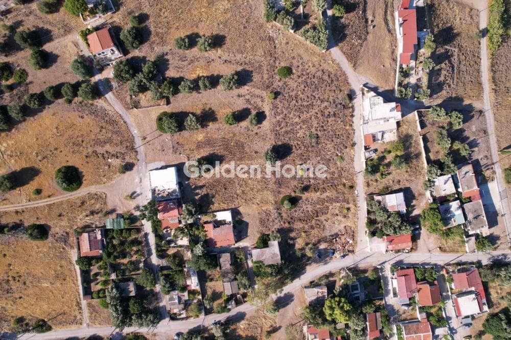 Building Plot in Selinia, Abelakia — Photo 5 of 9