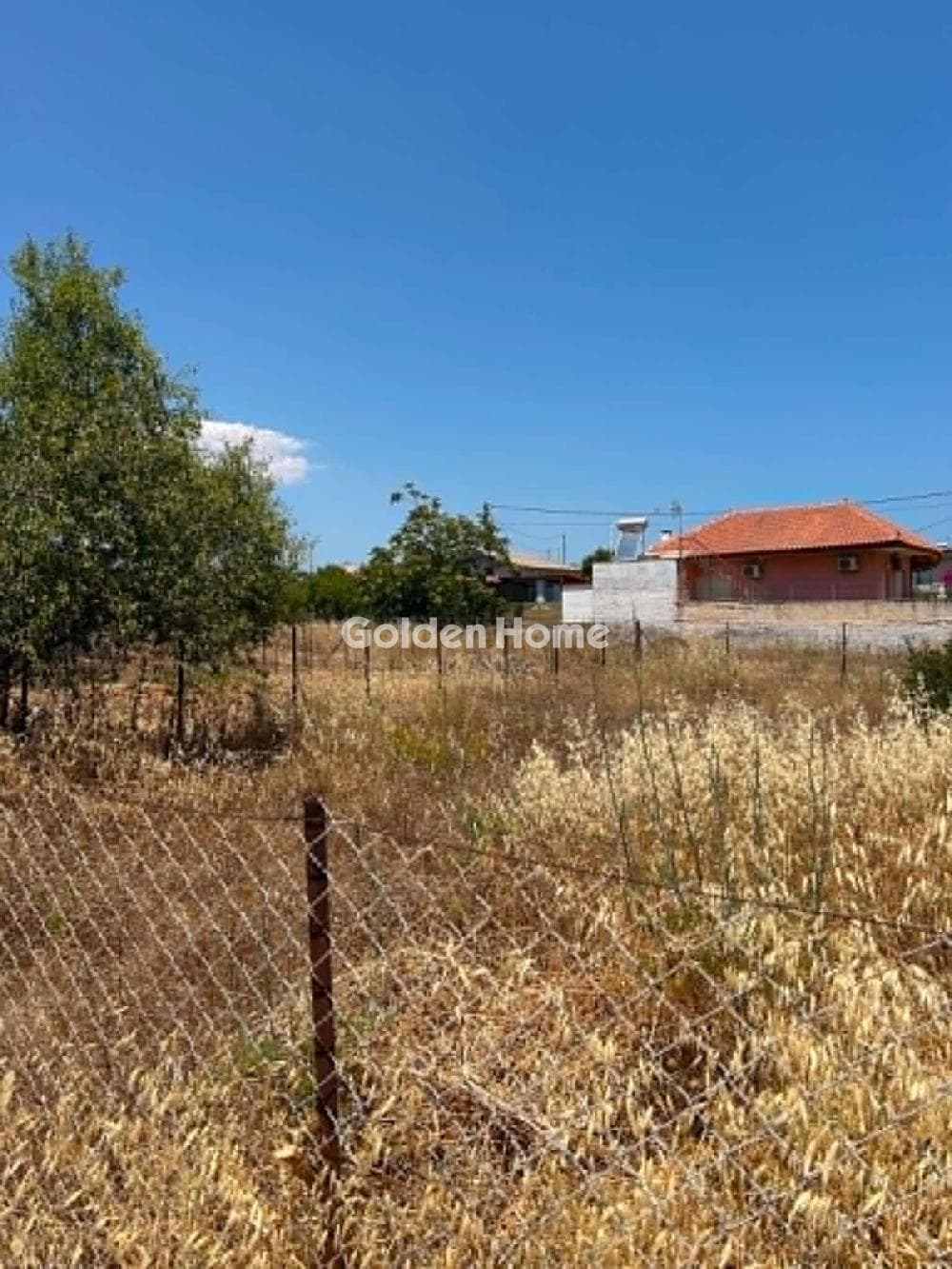 Οικόπεδο στην Βορινέζα, Αρτέμιδα (Λούτσα) — Φωτογραφία 1 από 3