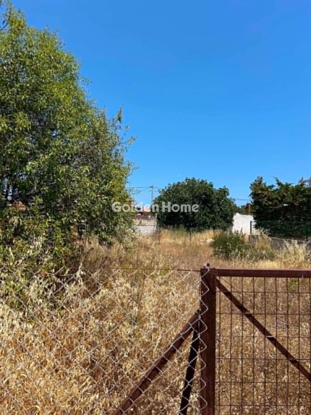 Οικόπεδο στην Βορινέζα, Αρτέμιδα (Λούτσα) — Φωτογραφία 2 από 3