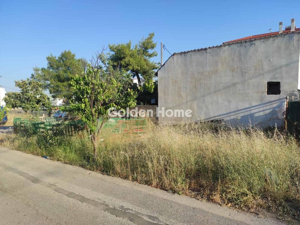 Οικόπεδο στην Δροσούπολη, Άνω Λιόσια — Φωτογραφία 1 από 3