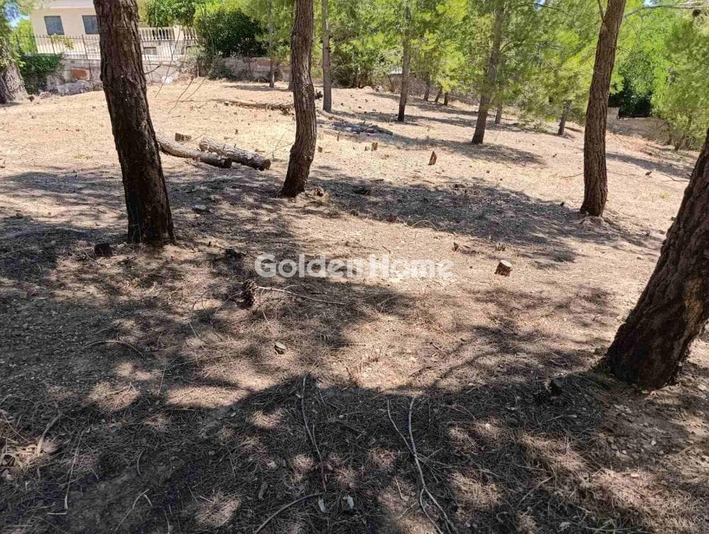 Building Plot in Kallithea, Penteli — Photo 7 of 7