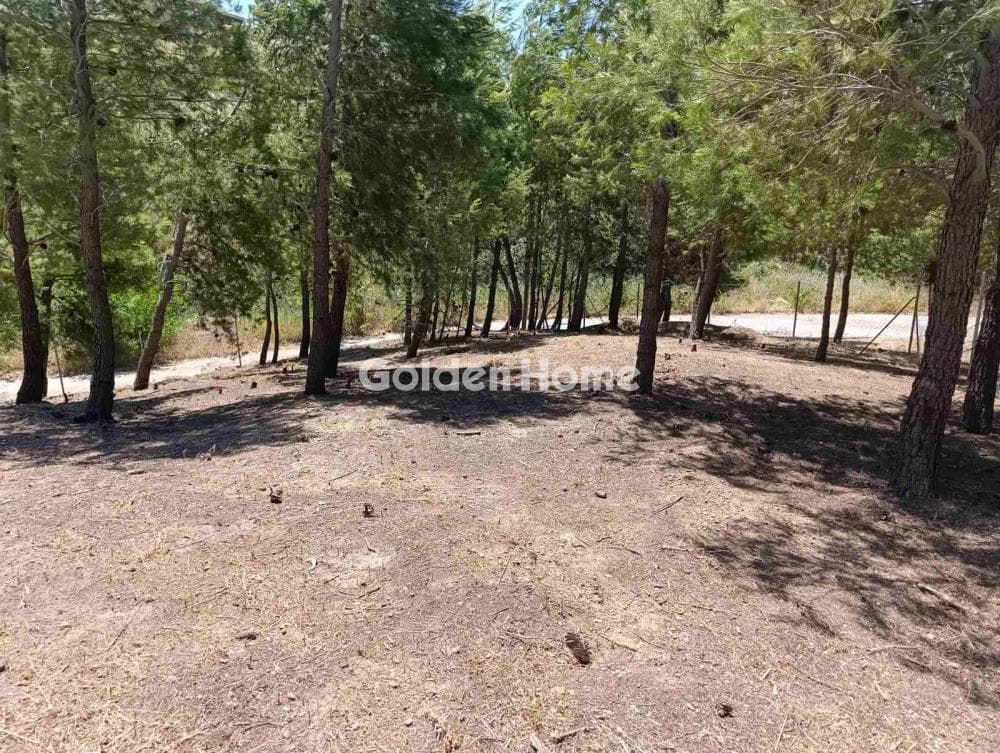 Building Plot in Kallithea, Penteli — Photo 1 of 7