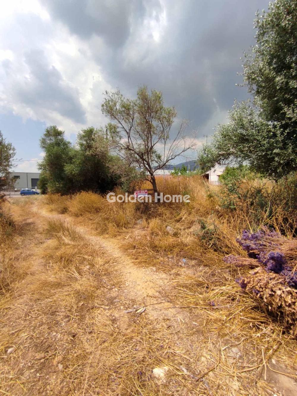 Αγροτεμάχιο στην Μεγάλα Σχοινία Α, Αχαρνές — Φωτογραφία 2 από 6