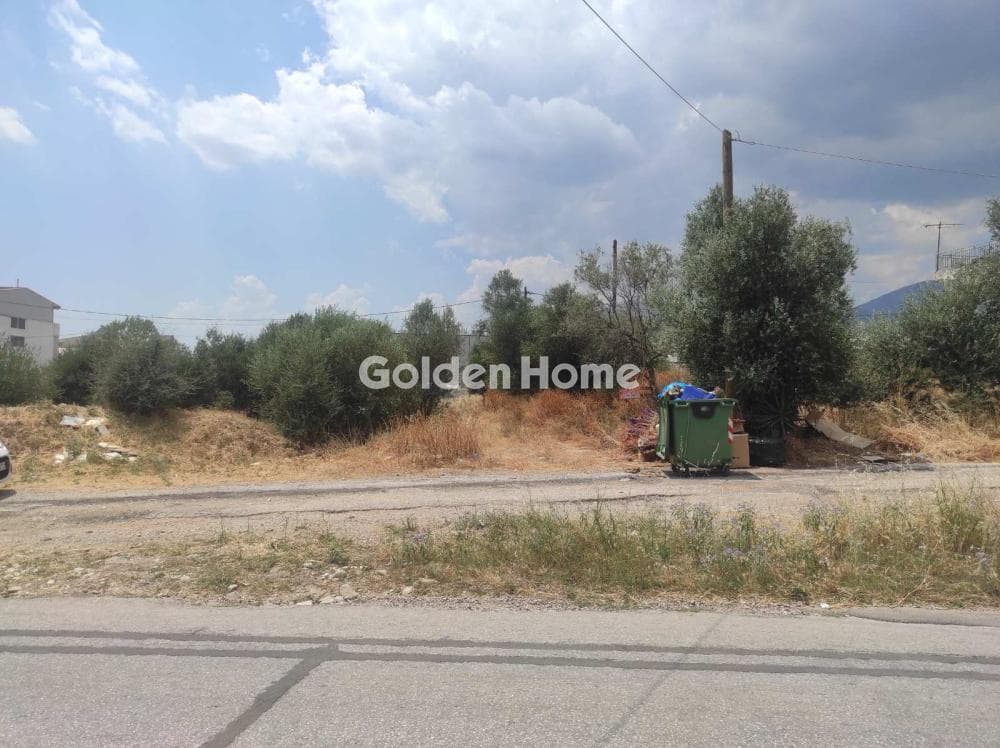 Αγροτεμάχιο στην Μεγάλα Σχοινία Α, Αχαρνές — Φωτογραφία 6 από 6
