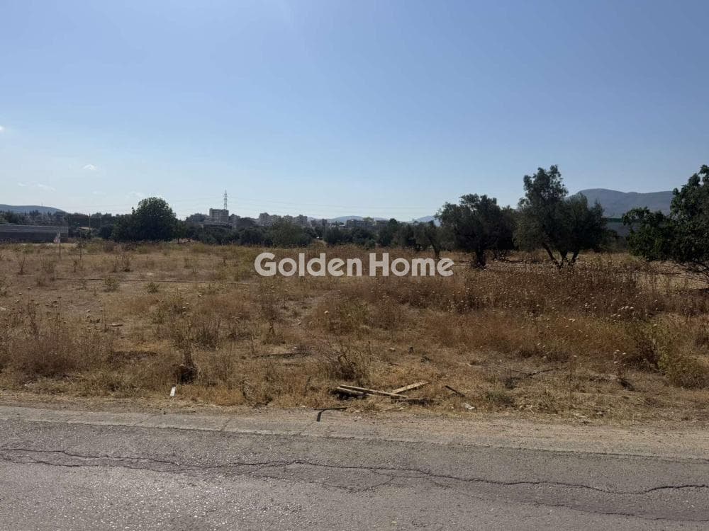 Αγροτεμάχιο στην Πυργούθι, Αχαρνές — Φωτογραφία 1 από 2