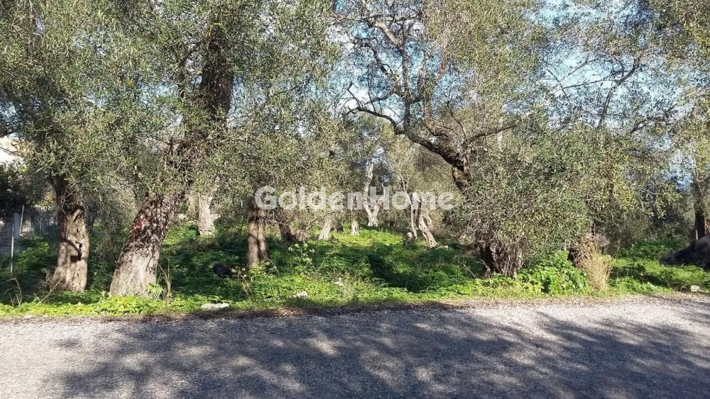 Μονοκατοικία στην Κεφαλάτικα, Παξοί — Φωτογραφία 5 από 8