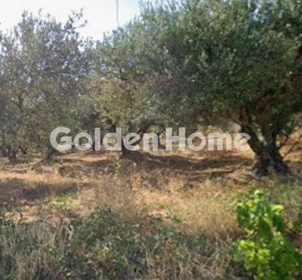 Οικόπεδο στην Πατσίδες, Αρχάνες — Φωτογραφία 1 από 3