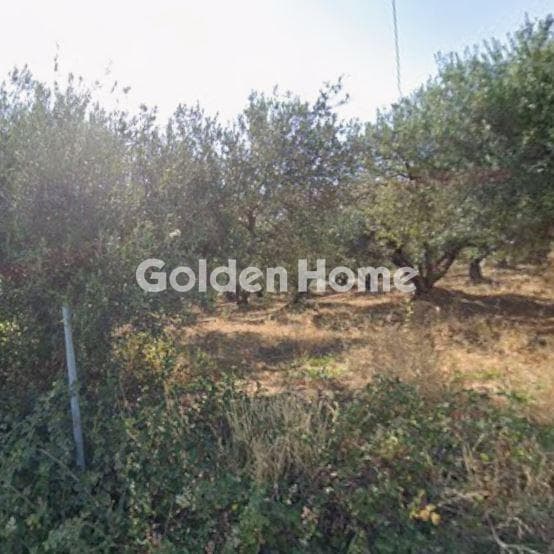 Οικόπεδο στην Πατσίδες, Αρχάνες — Φωτογραφία 2 από 3