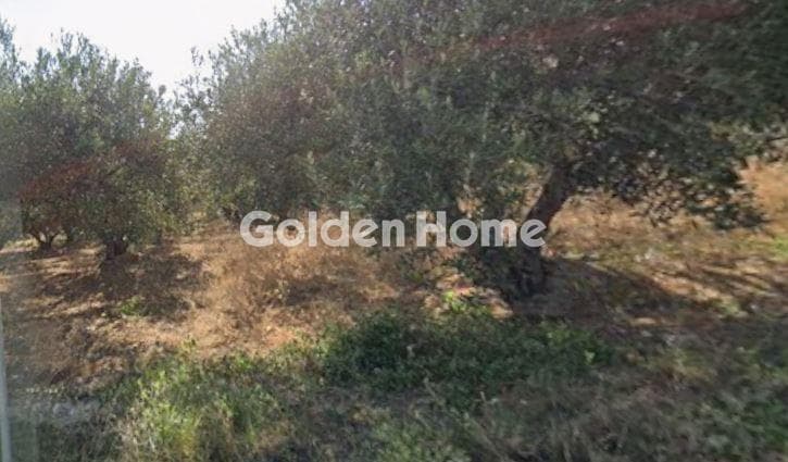Οικόπεδο στην Πατσίδες, Αρχάνες — Φωτογραφία 3 από 3