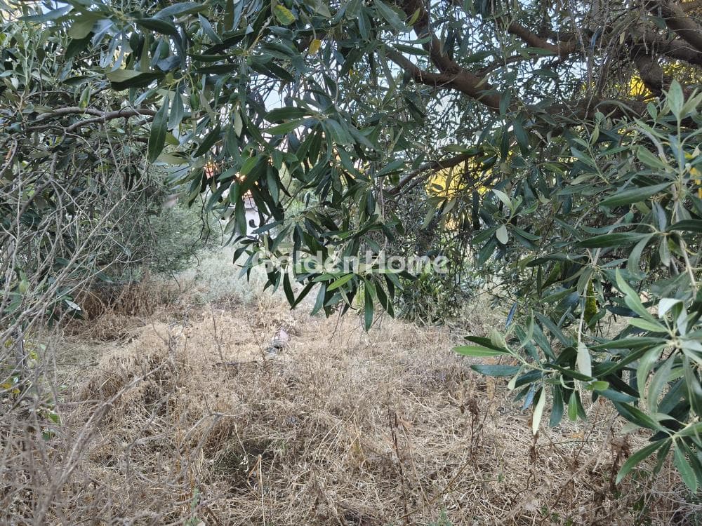 Αγροτεμάχιο στην Μεγάλα Σχοινία Α, Αχαρνές — Φωτογραφία 4 από 6