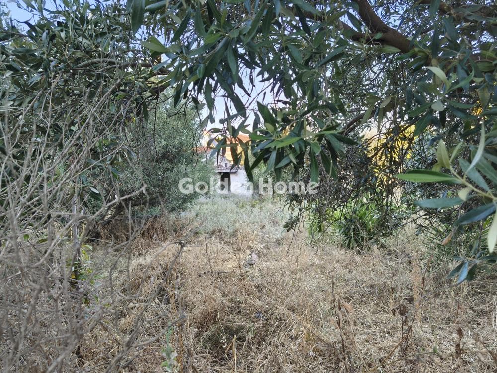 Αγροτεμάχιο στην Μεγάλα Σχοινία Α, Αχαρνές — Φωτογραφία 2 από 6
