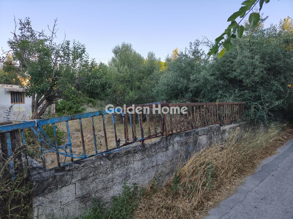 Αγροτεμάχιο στην Μεγάλα Σχοινία Α, Αχαρνές — Φωτογραφία 5 από 6