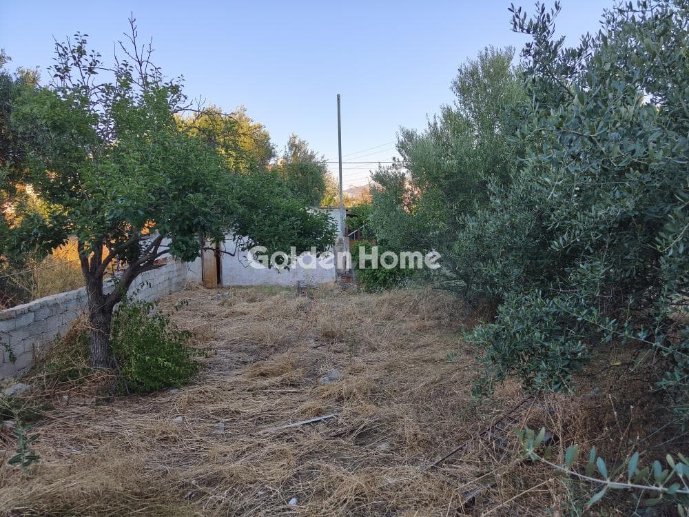 Αγροτεμάχιο στην Μεγάλα Σχοινία Α, Αχαρνές — Φωτογραφία 1 από 6