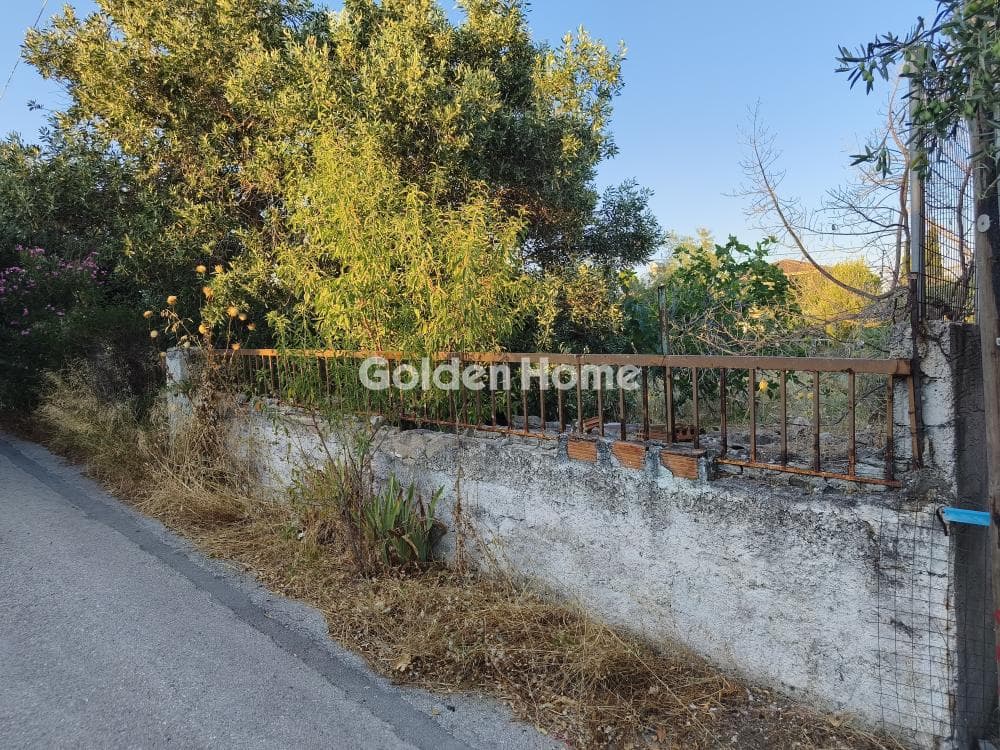 Αγροτεμάχιο στην Μεγάλα Σχοινία Α, Αχαρνές — Φωτογραφία 3 από 6