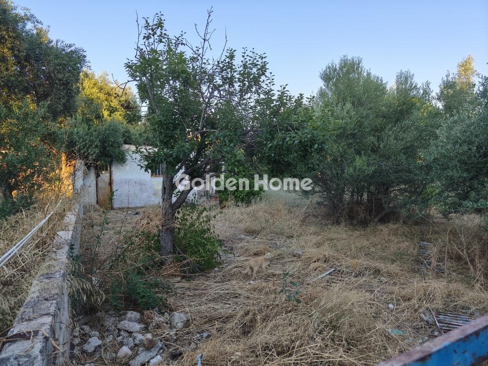 Αγροτεμάχιο στην Μεγάλα Σχοινία Α, Αχαρνές — Φωτογραφία 6 από 6