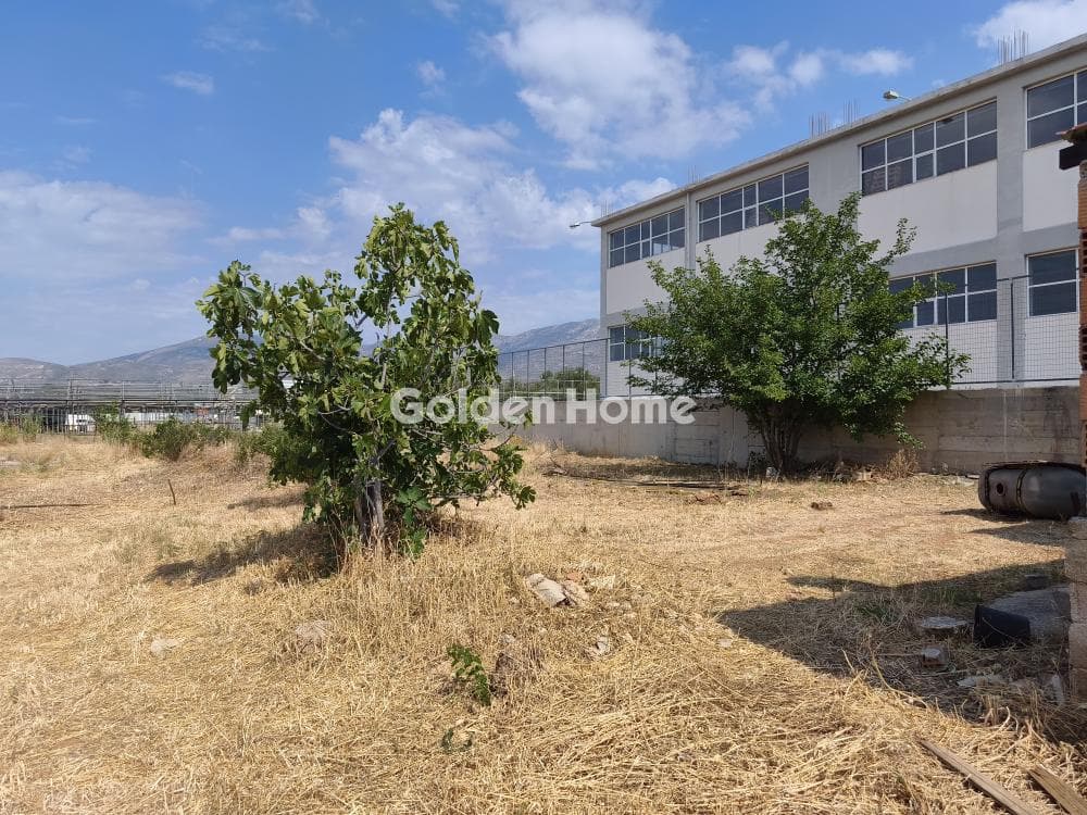 Αγροτεμάχιο στην Μεγάλα Σχοινία Α, Αχαρνές — Φωτογραφία 8 από 8