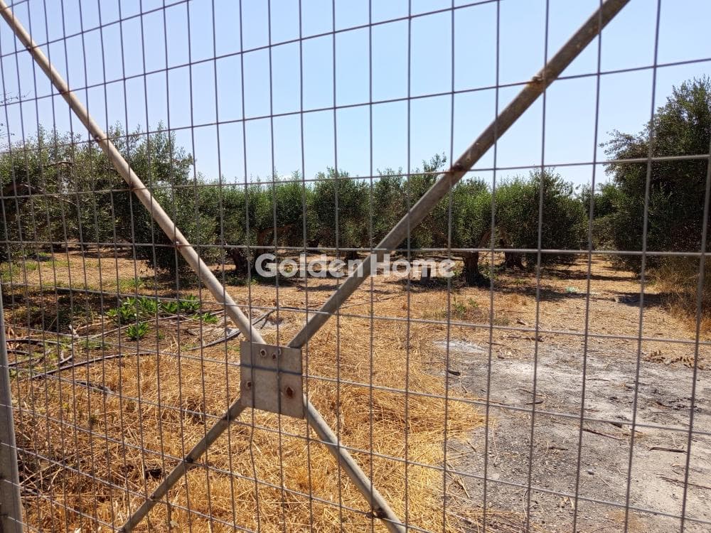 Αγροτεμάχιο στην Κόκκινος Πύργος, Τυμπάκι — Φωτογραφία 3 από 4