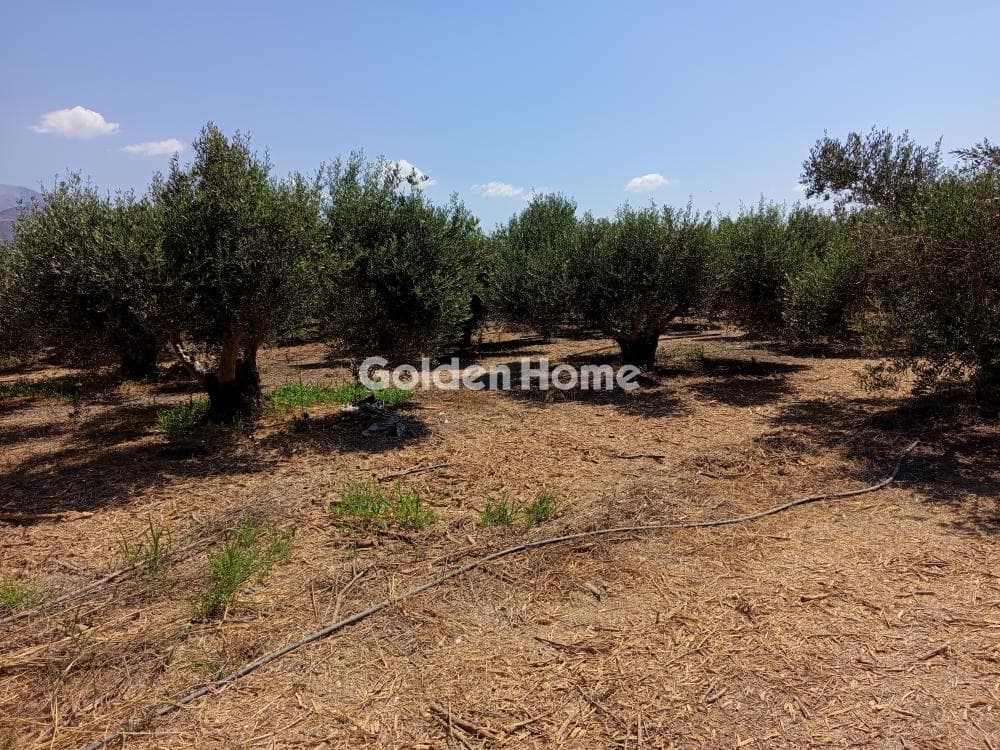 Αγροτεμάχιο στην Κόκκινος Πύργος, Τυμπάκι — Φωτογραφία 1 από 4